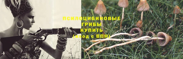 дурь Алексин