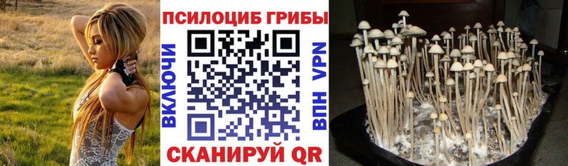 Галлюциногенные грибы GOLDEN TEACHER  Элиста 